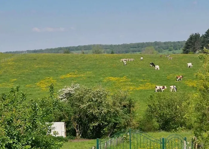 Paille-foin * Cerfontaine